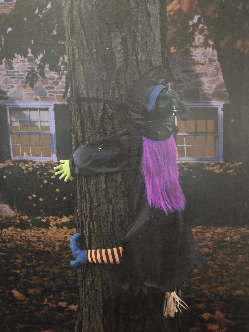 Crashing Witch